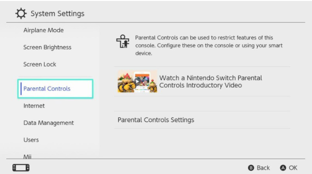 enabling Nintendo switch through system settings 