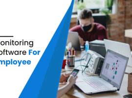 Monitoring Software for Employee