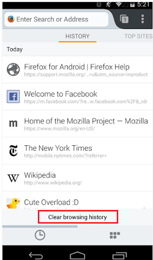 clear browsing history on Mozilla FireFox