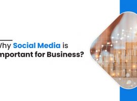 Why Social Media is Important for Business?