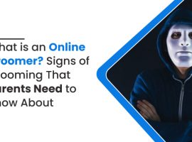 What is Online Groomer