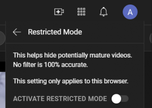 turn off restricted mode