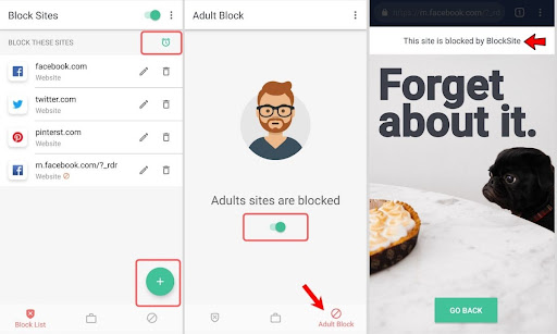 block websites on Android