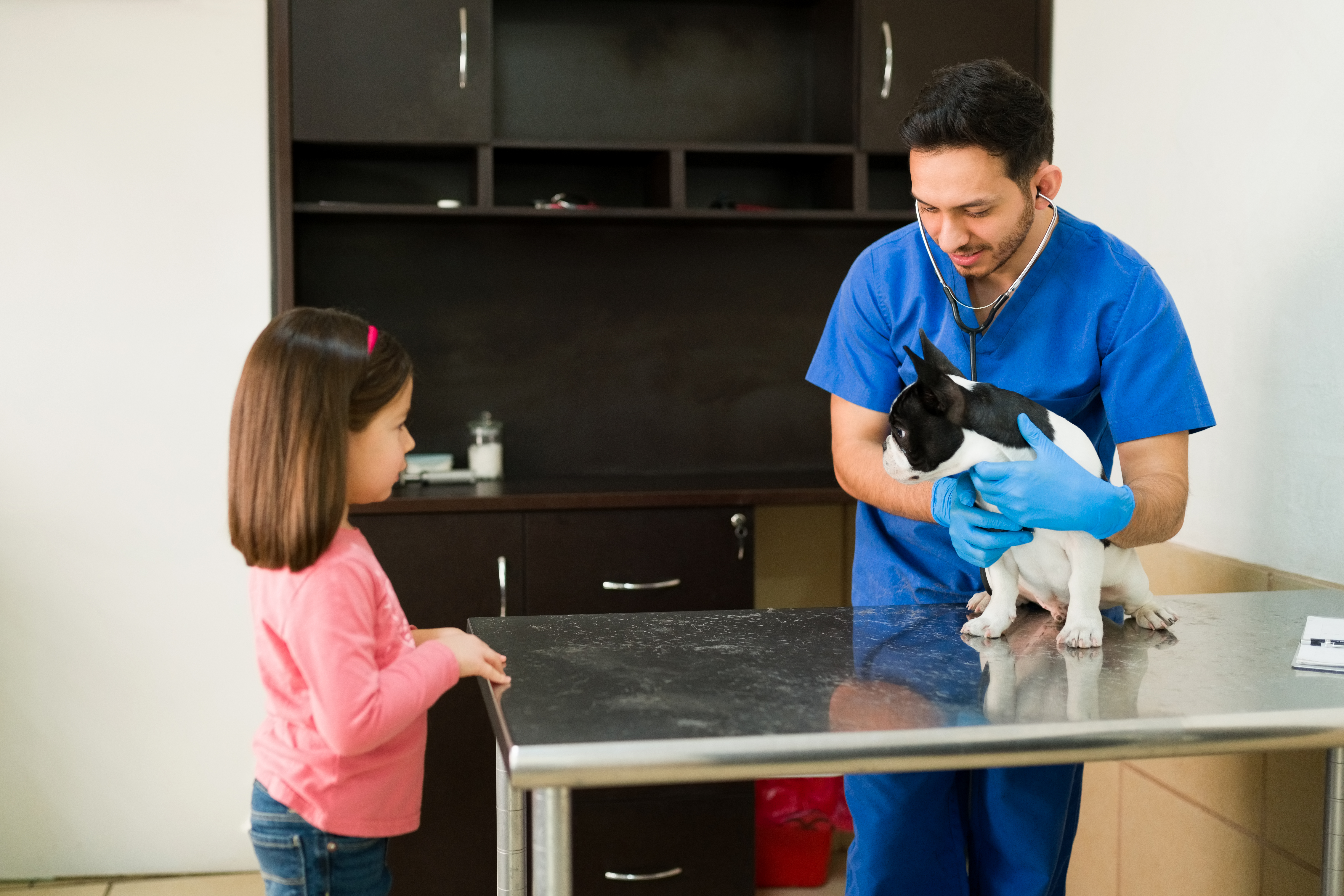 Happy male vet doing a medical exam to a cute puppy